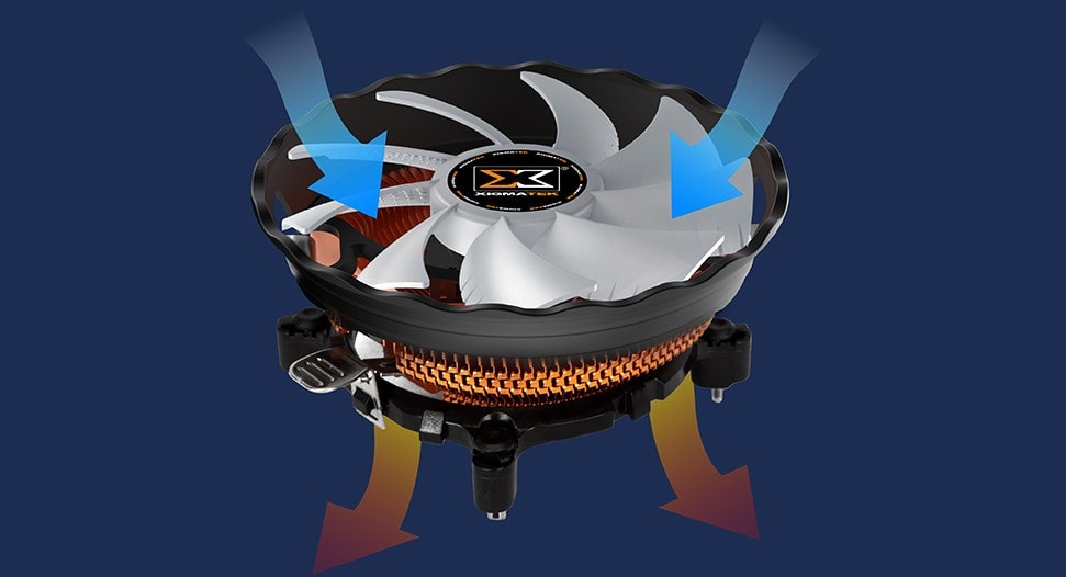 Xaxa4