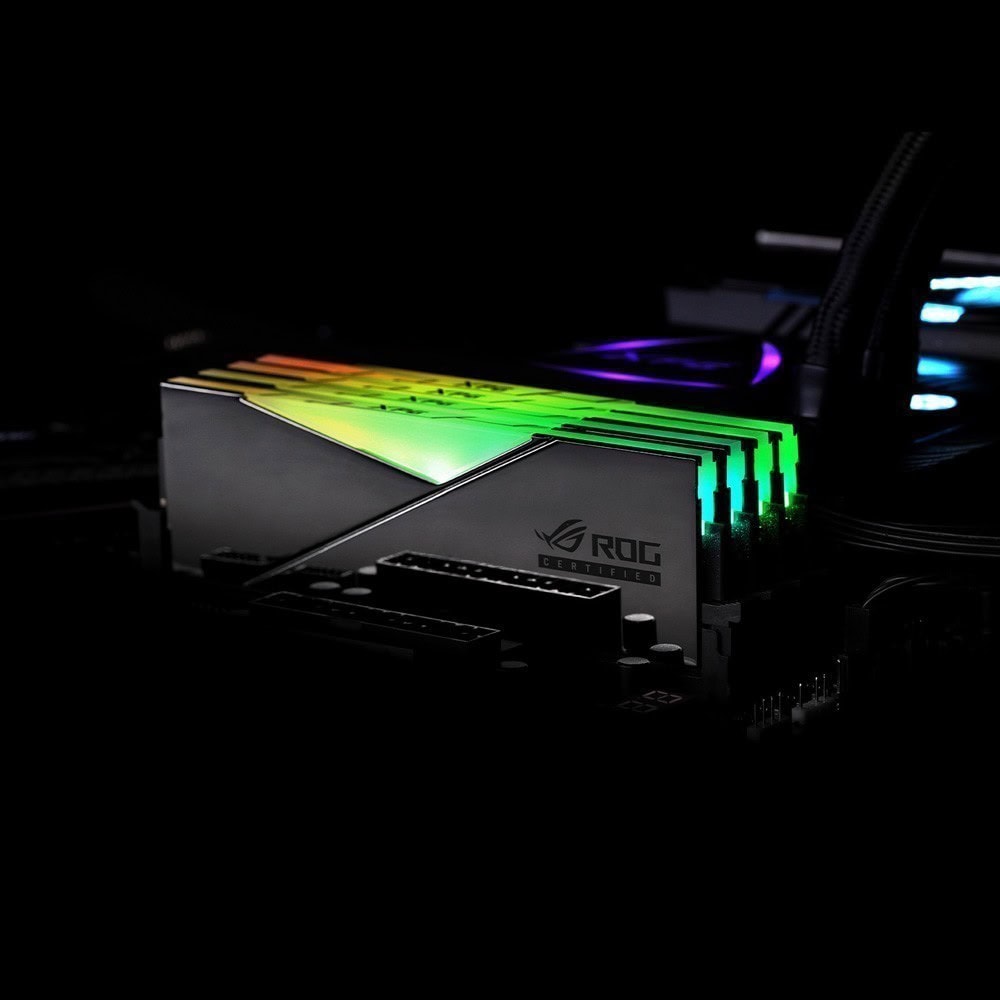 XPG