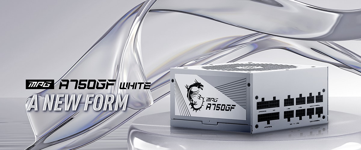 MSI MPG A750GF PSU a1