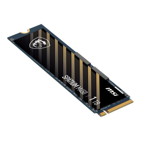 Msi Spatium M450 Pcie 4 0 3600mb Okuma 3000mb Yazma M 2 Ssd 2