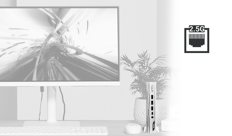 MSI PRO DP10 13M-002EU Masaüstü Bilgisayar a10