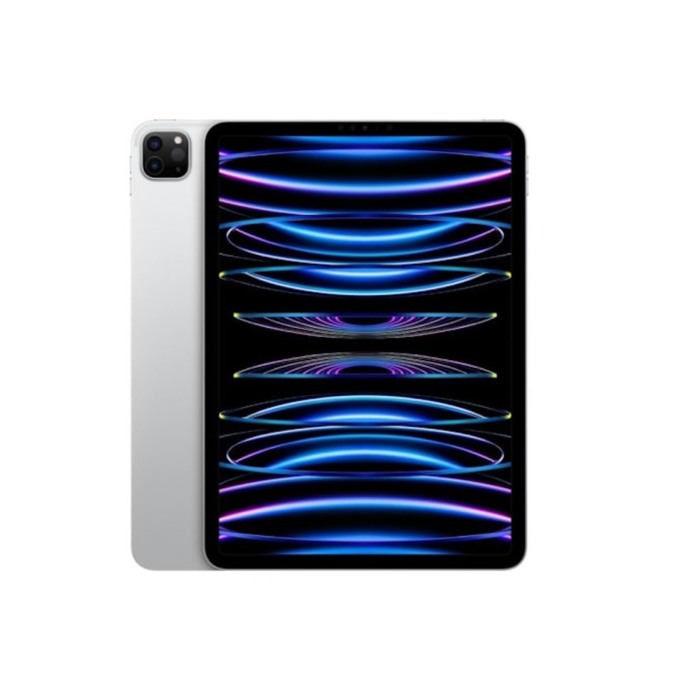 Apple Ipad Pro 12 9 Inc 6 Nesil M2 1tb Gumus Mnxx3tu A