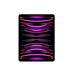 Apple Ipad Pro 12 9 Inc 6 Nesil M2 2tb Uzay Grisi Mnxy3tu A 1