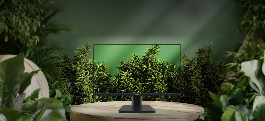 MSI PRO MP251 Monitör a18