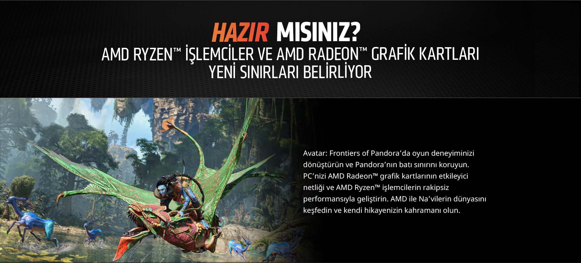 Amd Avatar Bundle Landing Page 20231107 2