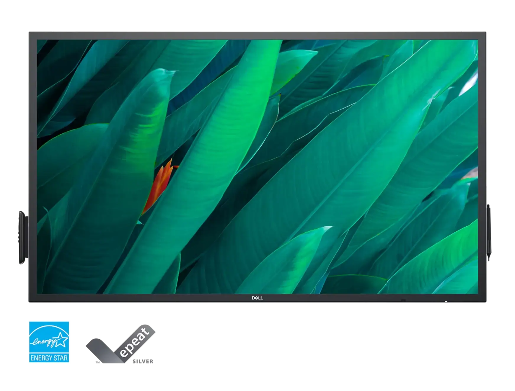 Dell P5524qt Monitör H7