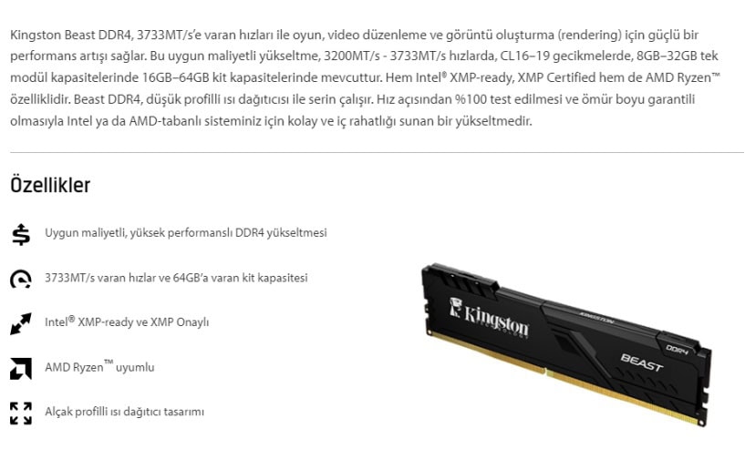 Kingston Beast Black 8GB Ram h3