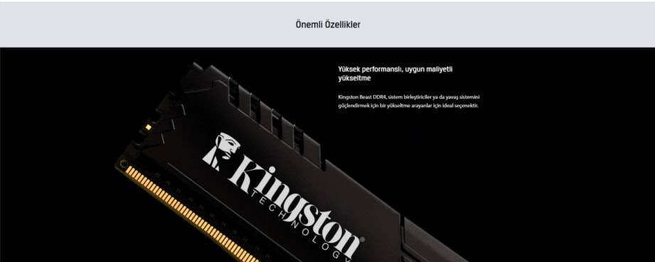 Kingston Beast Black 8GB Ram h4