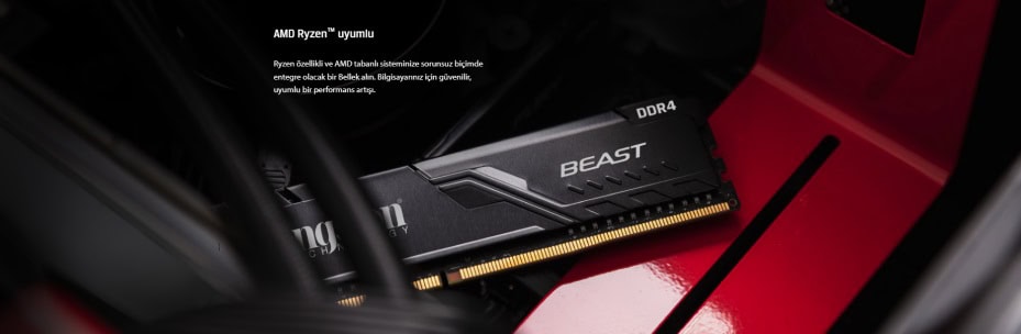Kingston Beast Black 8GB Ram h6