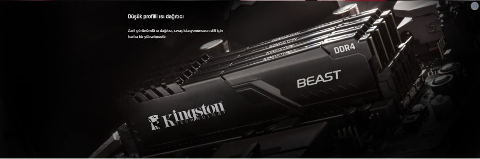 Kingston Beast Black 8GB Ram h7