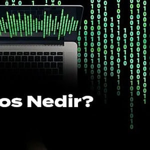 Freedos Nedir