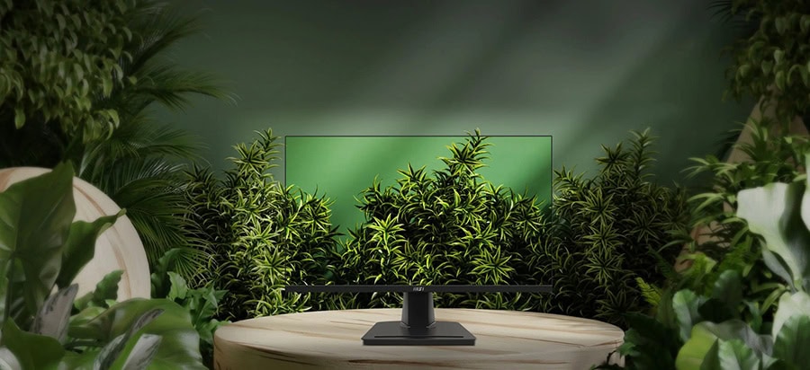 MSI PRO MP252 Monitör h18