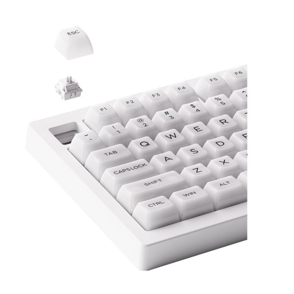 Akko 5075b Plus Shine Through Tkl Rgb Kablosuz Hotswap Mekanik Gaming Klavye 5