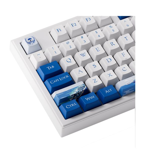 Akko 5098b Plus Santorini Rgb Kablosuz Hotswap Ingilizce Mekanik Gaming Klavye 6
