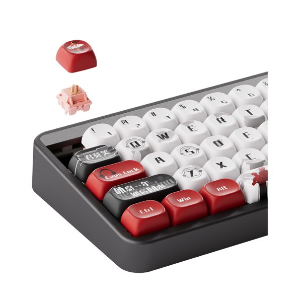 Akko Jin01 The Kings Avatar Ye Xiu Rgb Kablosuz Hotswap Ingilizce Mekanik Gaming Klavye Y5