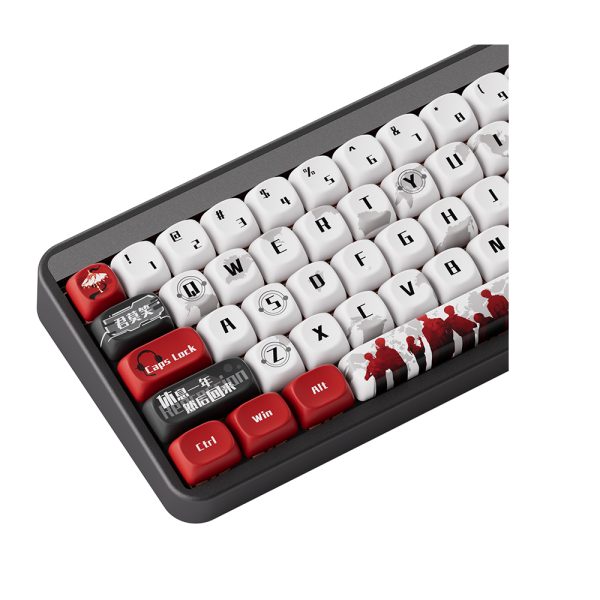 Akko Jin01 The Kings Avatar Ye Xiu Rgb Kablosuz Hotswap Ingilizce Mekanik Gaming Klavye Y6