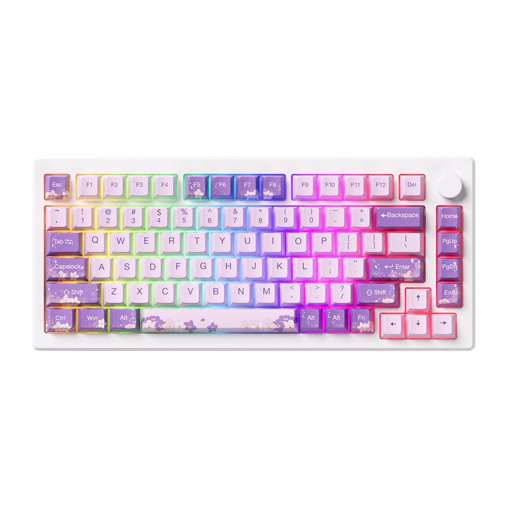 Akko Mod 007 He Pc Purple Melody Hall Effect Rgb Ingilizce Mekanik Gaming Klavye Y1
