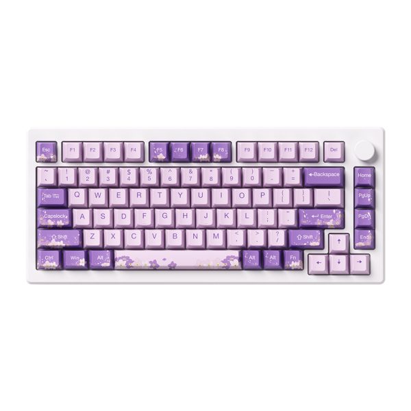 Akko Mod 007 He Pc Purple Melody Hall Effect Rgb Ingilizce Mekanik Gaming Klavye Y2