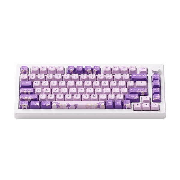 Akko Mod 007 He Pc Purple Melody Hall Effect Rgb Ingilizce Mekanik Gaming Klavye Y3
