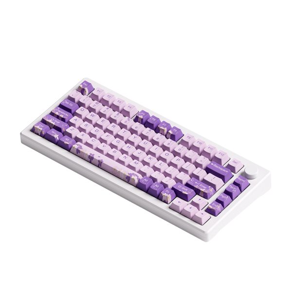 Akko Mod 007 He Pc Purple Melody Hall Effect Rgb Ingilizce Mekanik Gaming Klavye Y4