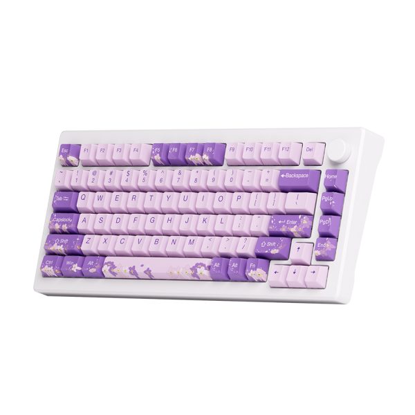 Akko Mod 007 He Pc Purple Melody Hall Effect Rgb Ingilizce Mekanik Gaming Klavye Y5