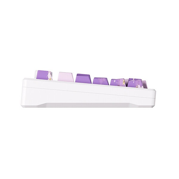 Akko Mod 007 He Pc Purple Melody Hall Effect Rgb Ingilizce Mekanik Gaming Klavye Y6