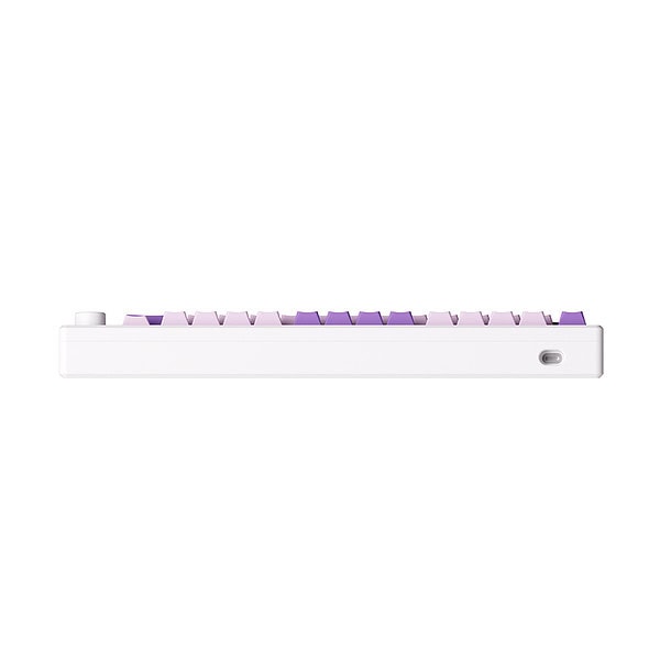 Akko Mod 007 He Pc Purple Melody Hall Effect Rgb Ingilizce Mekanik Gaming Klavye Y7