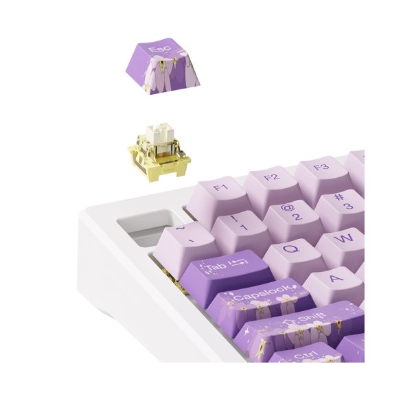Akko Mod 007 He Pc Purple Melody Hall Effect Rgb Ingilizce Mekanik Gaming Klavye Y8