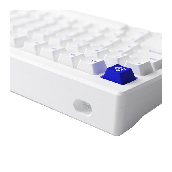 Akko Mod 007b Pc Blue On White Rgb Kablosuz Hotswap Ingilizce Mekanik Gaming Klavye Y6