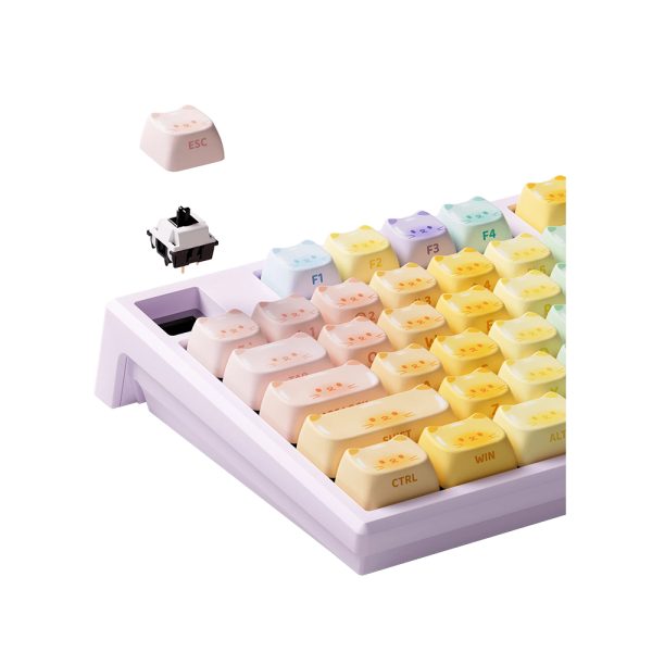 Akko Monsgeek Mg108b Colorful Cats Rgb Kablosuz Hotswap Mekanik Gaming Klavye Yh5