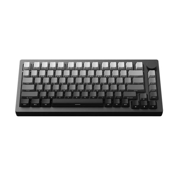 Akko M1 V5 Sp Via Black Gradiant Rgb Kablosuz Hotswap Mekanik Gaming Klavye 4
