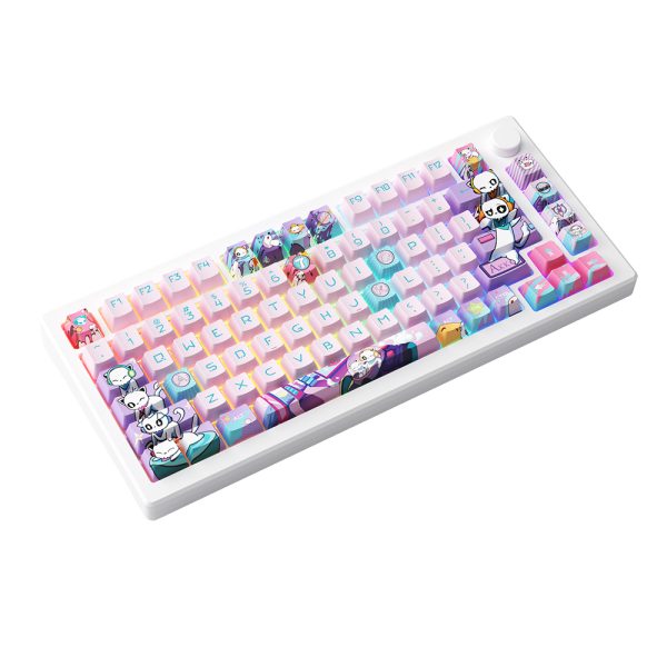 Akko Mod 007b Pc 7th Anniversary Hall Effect Manyetik Switch Rgb Kablosuz Hotswap Mekanik Gaming Klavye 5