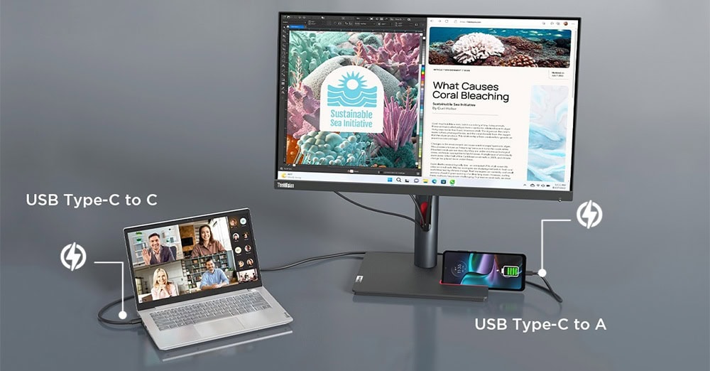 Lenovo Thinkvision P24h 30 Monitör H10