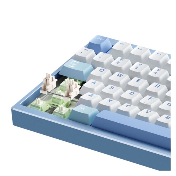 Mchose Gx87 Lite Tkl Rgb Kablosuz Hotswap Blue Nano Spraying Mekanik Gaming Klavye (mc Gx87 A2) 3