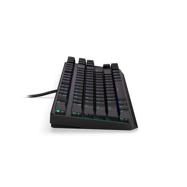 Endorfy Thock Tkl Kailh Red Switch Rgb Ingilizce Mekanik Gaming Klavye Ey5a001 6