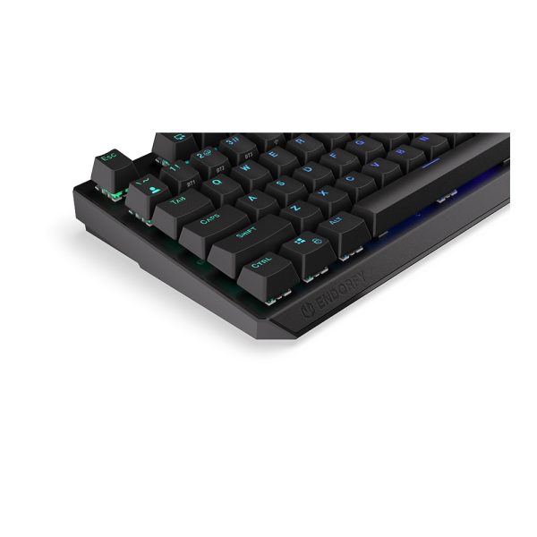 Endorfy Thock Wireless Kailh Brown Switch Rgb Ingilizce Kablosuz Hotswap Mekanik Gaming Klavye Ey5a078 11