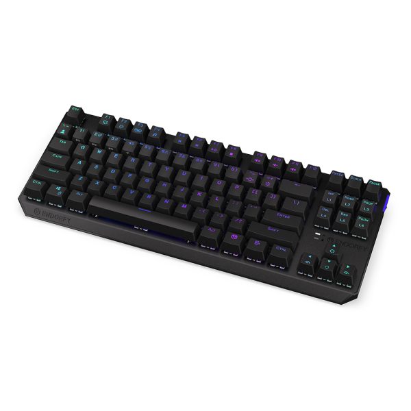 Endorfy Thock Wireless Tkl Kailh Black Switch Rgb Ingilizce Kablosuz Hotswap Mekanik Gaming Klavye Ey5a081 3
