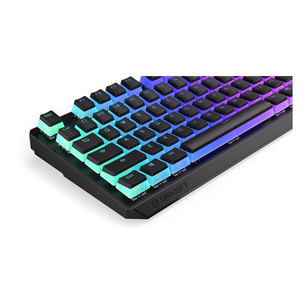 Endorfy Thock Wireless Tkl Pudding Kailh Red Switch Rgb Ingilizce Kablosuz Hotswap Mekanik Gaming Klavye Ey5a119 10