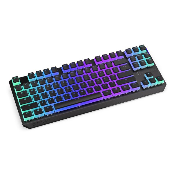 Endorfy Thock Wireless Tkl Pudding Kailh Red Switch Rgb Ingilizce Kablosuz Hotswap Mekanik Gaming Klavye Ey5a119 4