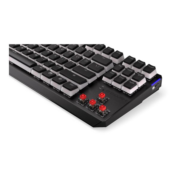 Endorfy Thock Wireless Tkl Pudding Kailh Red Switch Rgb Ingilizce Kablosuz Hotswap Mekanik Gaming Klavye Ey5a119 9