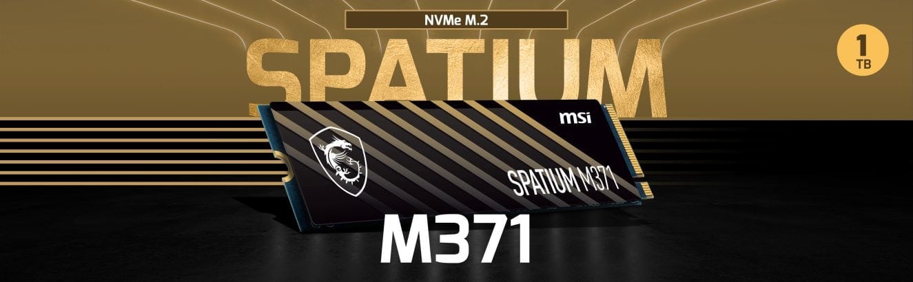 MSI SPATIUM M371 1TB M.2 SSD h1