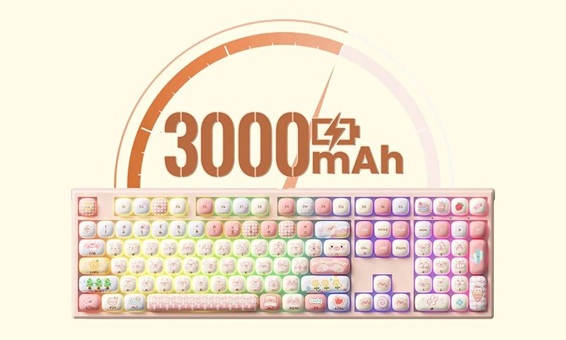 Dahili 3000mAh Pil