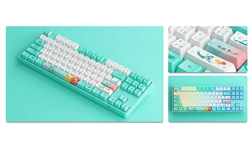 PBT Boya Alt Tuş Başlıkları