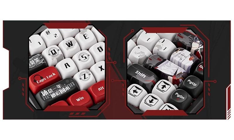 PBT Boya Alt Tuş Başlıkları