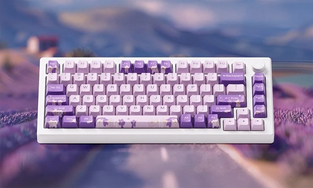 AKKO MOD 007 HE PC Purple Melody
