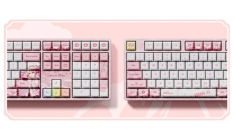 PBT Boya Alt Tuş Başlıkları