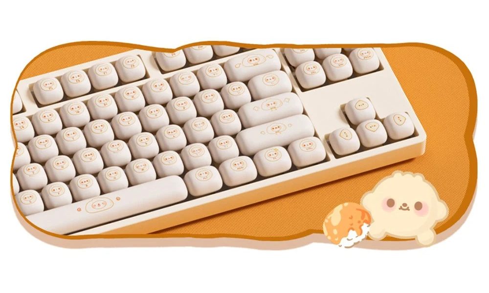 PBT Boya Alt Tuş Başlıkları