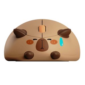Akko X Waigua Cat Capybara Kablosuz Simetrik Mouse 1