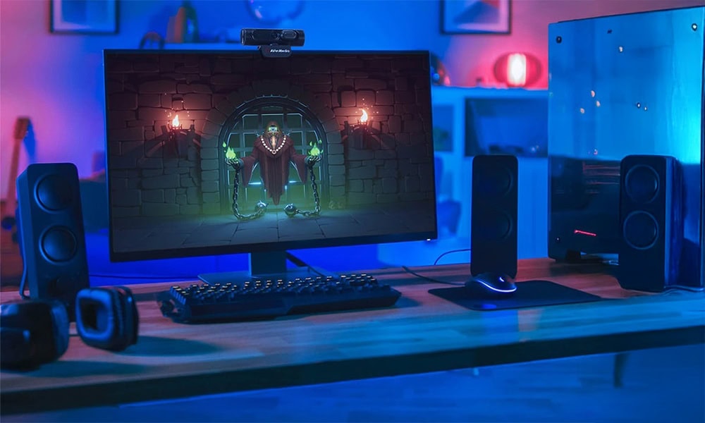 PW315 1080P 60FPS Geniş Açılı Web Kamerası