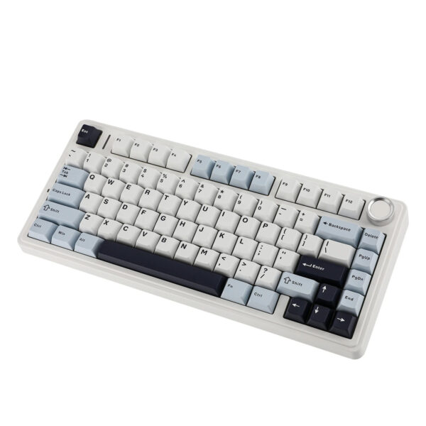 Epomaker X Aula F75 Light Blue Leobog Reaper Switch Rgb Kablosuz Hotswap Mekanik Gaming Klavye 2